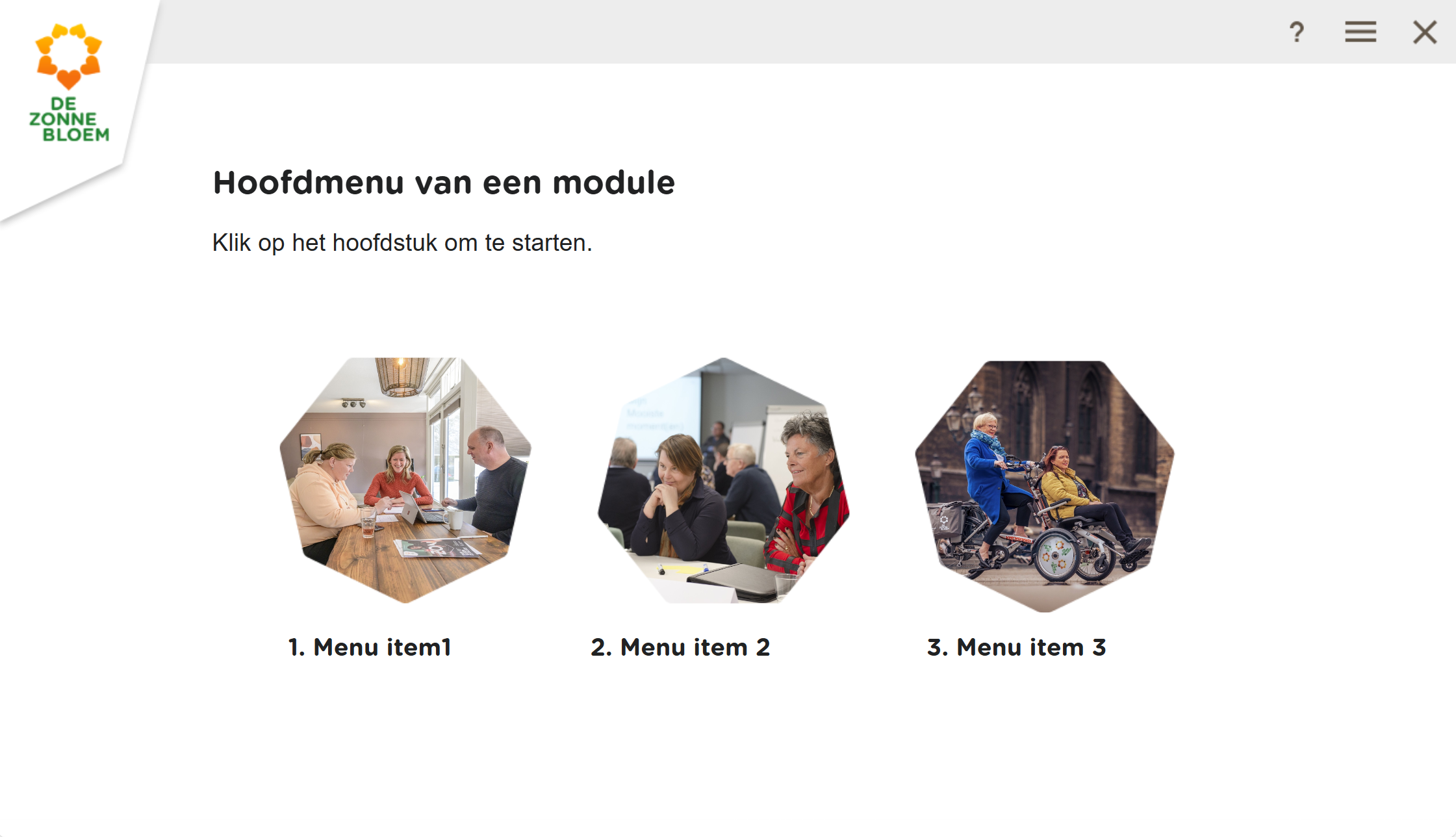 De zonnebloem - mastertemplates