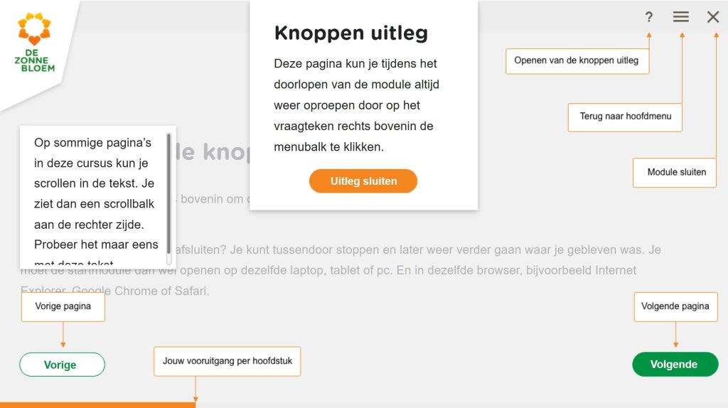 De zonnebloem - uitleg-min